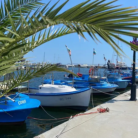 Panorama Bay 20 Fancy * סבטי ולאס